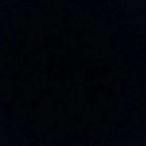 Meet your Posher, Mona